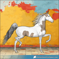 Horse Color:Brown Dun Splash Tobiano 