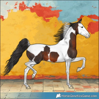Horse Color:Brown Splash Tobiano Appaloosa 