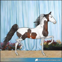 Horse Color:Brown Splash Tobiano Varnish 