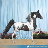 Horse Color:Brown Tobiano Varnish 