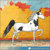 Horse Color:Black Splash Tobiano Varnish