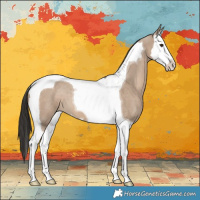 Horse Color:Liver Red Dun Splash Tobiano