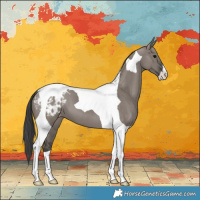 Horse Color:Grullo Tobiano Varnish