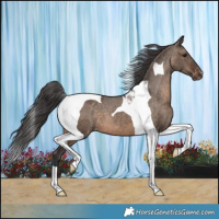 Horse Color:Brown Dun Tobiano Varnish 