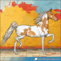 Horse Color:White Spotted Palomino Tobiano Appaloosa 