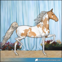 Horse Color:White Spotted Palomino Tobiano Appaloosa 