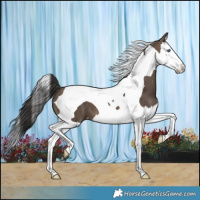 Horse Color:Brown Dun Splash Tobiano Varnish 