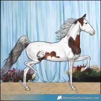 Horse Color:Brown Splash Tobiano Blanket 