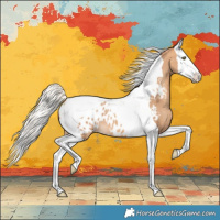 Horse Color:Silver Amber Champagne Splash Tobiano Blanket