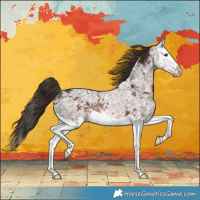 Horse Color:Liver Chestnut Ice Splash Rabicano 