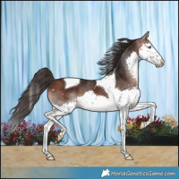Horse Color:Brown Splash Tobiano 