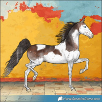 Horse Color:Brown Splash Tobiano