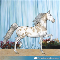 Horse Color:White Spotted Silver Buckskin Dun Splash Blanket 