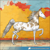 Horse Color:White Spotted Silver Buckskin Dun Splash Appaloosa