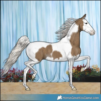 Horse Color:Silver Smoky Black Splash Tobiano 