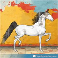 Horse Color:Buckskin Splash Tobiano