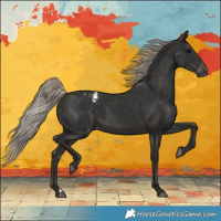 Horse Color:Gray Silver Black Appaloosa 