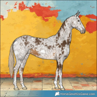 Horse Color:Chocolate Palomino Ice 
