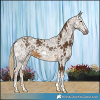 Horse Color:Chocolate Palomino Ice 