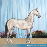 Horse Color:Bay Ice Dun 
