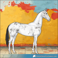 Horse Color:White Spotted Grullo Ice Sabino 