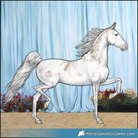 Horse Color:White Spotted Silver Brown Dun Splash Tobiano Snowflake Varnish 
