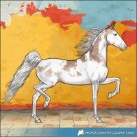Horse Color:White Spotted Silver Brown Dun Splash Tobiano Appaloosa 
