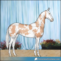 Horse Color:White Spotted Silver Classic Champagne Splash 