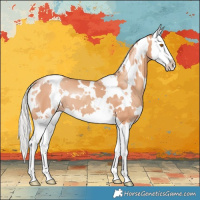 Horse Color:White Spotted Silver Classic Champagne Splash 
