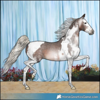 Horse Color:Gray White Spotted Silver Brown Splash Tobiano Varnish 