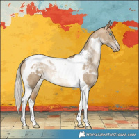 Horse Color:Gray Silver Buckskin Pearl Dun Tobiano Varnish Rabicano