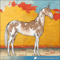 Horse Color:Gray White Spotted Silver Smoky Creme Tobiano