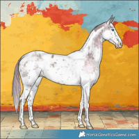 Horse Color:Smoky Grullo Splash Tobiano