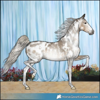 Horse Color:Gray White Spotted Silver Smoky Grullo Sabino Blanket 