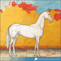 Horse Color:Silver Classic Cream Champagne Roan Dun Blanket