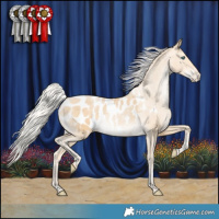 Horse Color:Silver Smoky Black Pearl Blanket Rabicano 