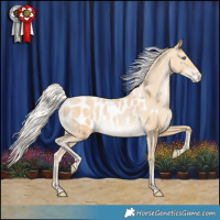 Horse Color:Silver Smoky Black Pearl Appaloosa Rabicano 