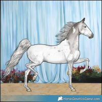 Horse Color:Gray Silver Black Splash Tobiano Snowcap 