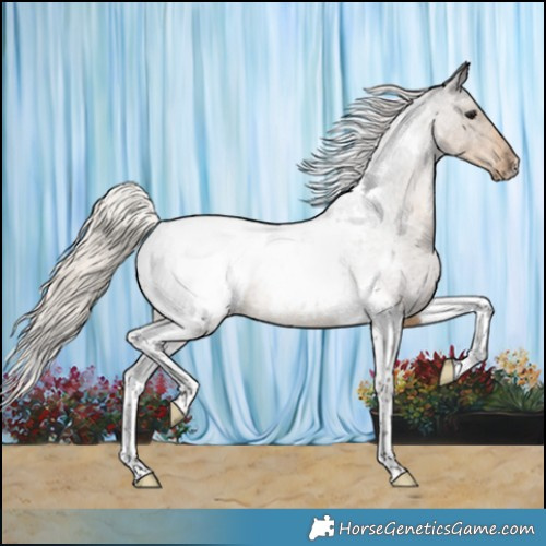 Horse Color:Silver Smoky Blue Roan Tobiano Appaloosa 