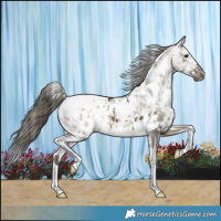 Horse Color:White Spotted Buckskin Ice Dun Blanket Brindle 