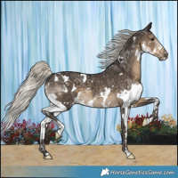 Horse Color:White Spotted Silver Smoky Black Splash 