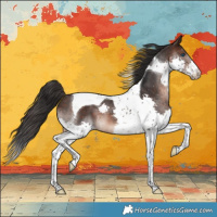 Horse Color:Brown Splash Tobiano Appaloosa 