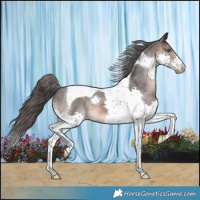 Horse Color:Brown Splash Tobiano Varnish 