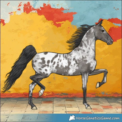 Horse Color:Grullo Ice Blanket 