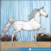 Horse Color:Gray Silver Bay Splash Tobiano Snowcap Rabicano 