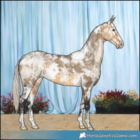 Horse Color:White Spotted Silver Buckskin Ice Dun 