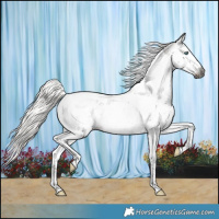 Horse Color:Gray Silver Smoky Blue Roan Splash Tobiano Blanket 