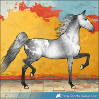 Horse Color:Gray Black Blanket Rabicano 