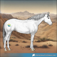 Horse Color:Brown Sabino Blanket 