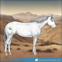 Horse Color:Black Sabino